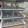 Buy cheap A Or H Type Broiler Chicken Cage 96 Matured Broilers Capacity Emily from wholesalers