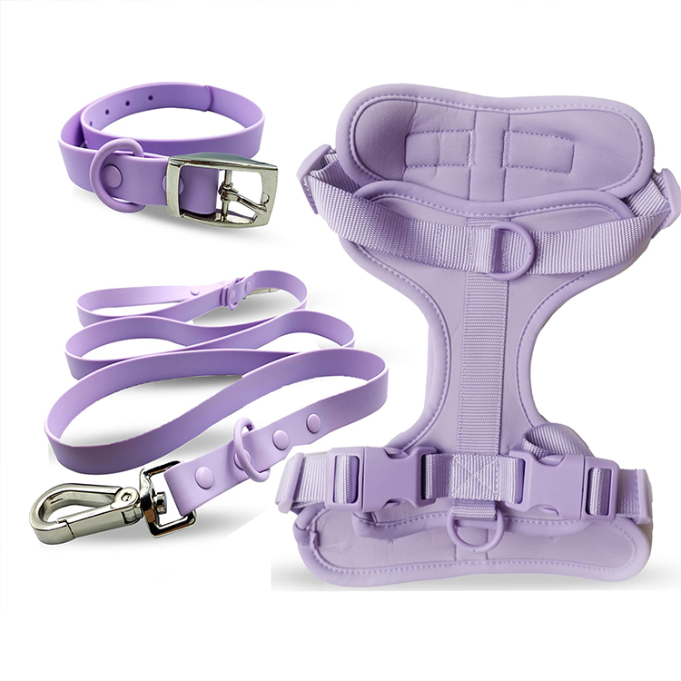 5.5 Feet Durable Reinforced Training Pet Collar Leash 3pcs Waterproof