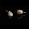 Buy cheap Cad Cam Implant PFM Crown Bridge Dental Medical Grade Adhesive from wholesalers