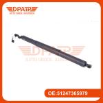 Car Electric Liftgate Actuator 51247365979 Rear Electric Strut For BMW F48