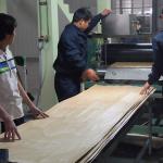 Straight Ebony Colored Engineered Wood Veneer For Fancy Plywood 640-1220mm Width