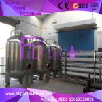 Iso 380v 5t/H Reverse Osmosis Water Treatment Machine