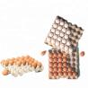 Buy cheap Recycled Pulp Egg Box Forming Machine 80KW Rotary Video Technical Support from wholesalers