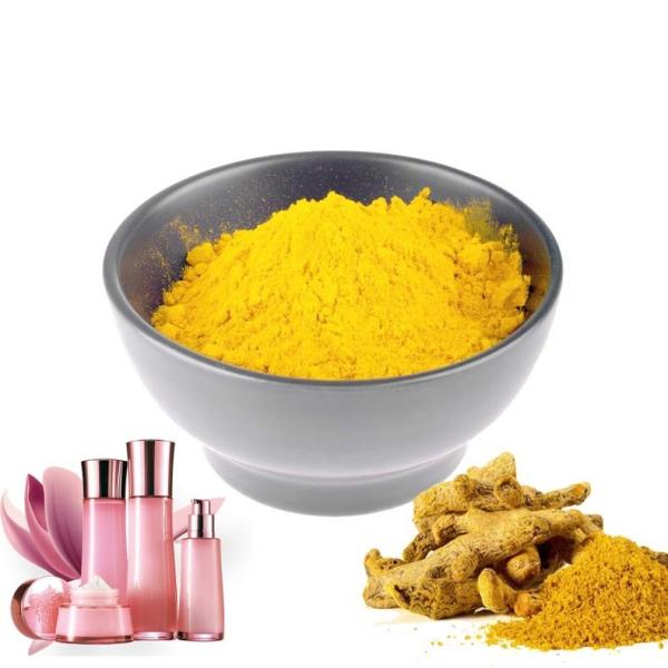 Buy cheap Pure Natural Bulk Turmeric Extract Powder Curcumin 95% 98% Canned Food Use from wholesalers