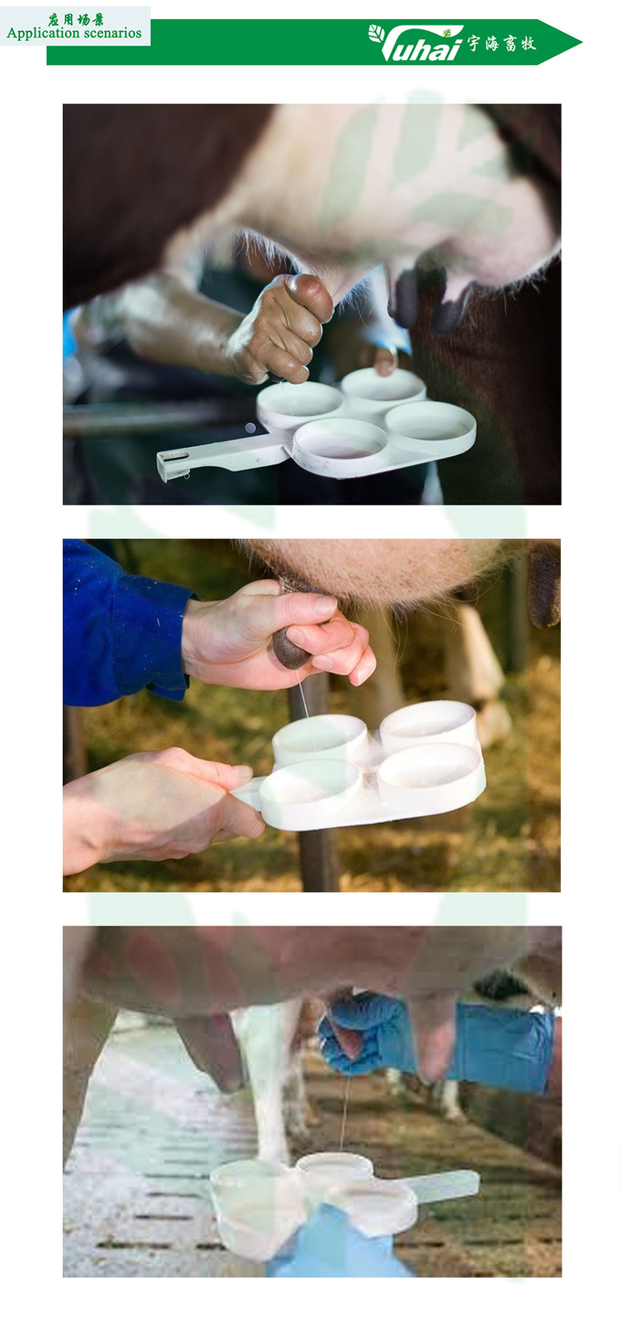 Mastitis Sample Spoon For CMT Testing, Mastitis Test Plate For Milk Sampling