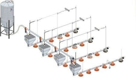 Poultry Farm Equipment Automatic Pan Feeding System Chicken Feeder