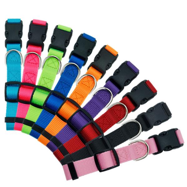 Buy cheap Nylon Dog Collar Secure Comfortable Pet Management multiple colors custom from wholesalers
