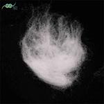 A Grade Water Absorbent Bicomponent Low Melt Fibre 51mm For Diaper Tissue