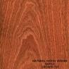 Buy cheap Paneling And Doors Africa Natural Sapele Wood Veneer Flat Cut Crown Grain AAA Grade from wholesalers