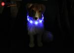Waterproof Safety Pet LED Dog Necklace USB Rechargeable Led Dog Collar
