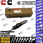 Diesel Engine Fuel Common Rail Injector 4062569 1846348 4954434