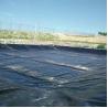 Buy cheap Double Smooth/Double Texture Geomembrane Tank HDPE Sheet 0.5mm Thick Plastic Sheet Membrane from wholesalers