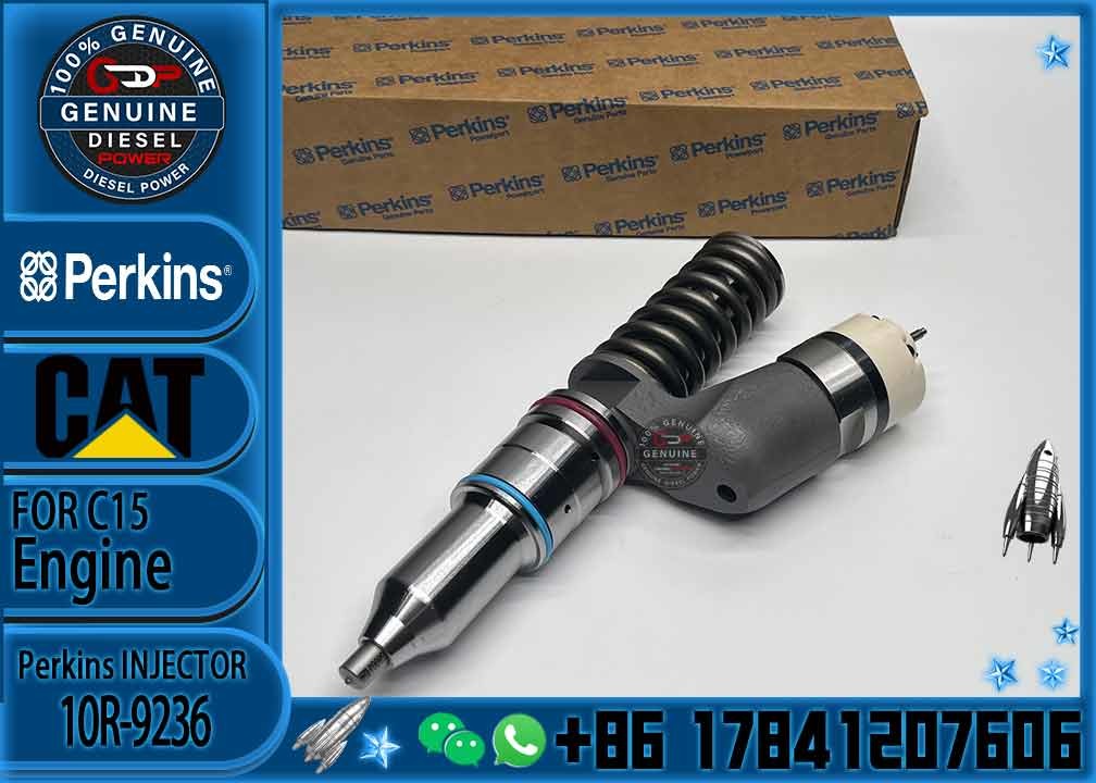 Diesel Fuel Injector 249-0709 2490709 10R-1273 10R1273 10R-9236 For Engine C15 Excavator 3406E