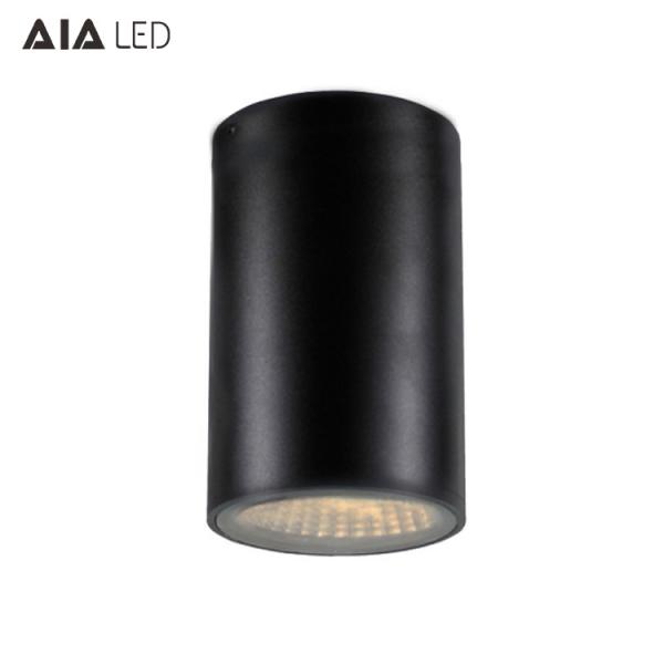 IP65 waterproof circular DALI dimmable 40W COB LED down lamp&outdoor LED down
