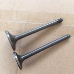 Automobile Parts 6DS Intake And Exhaust Valve For Mitsubishi 20801-00100 30804