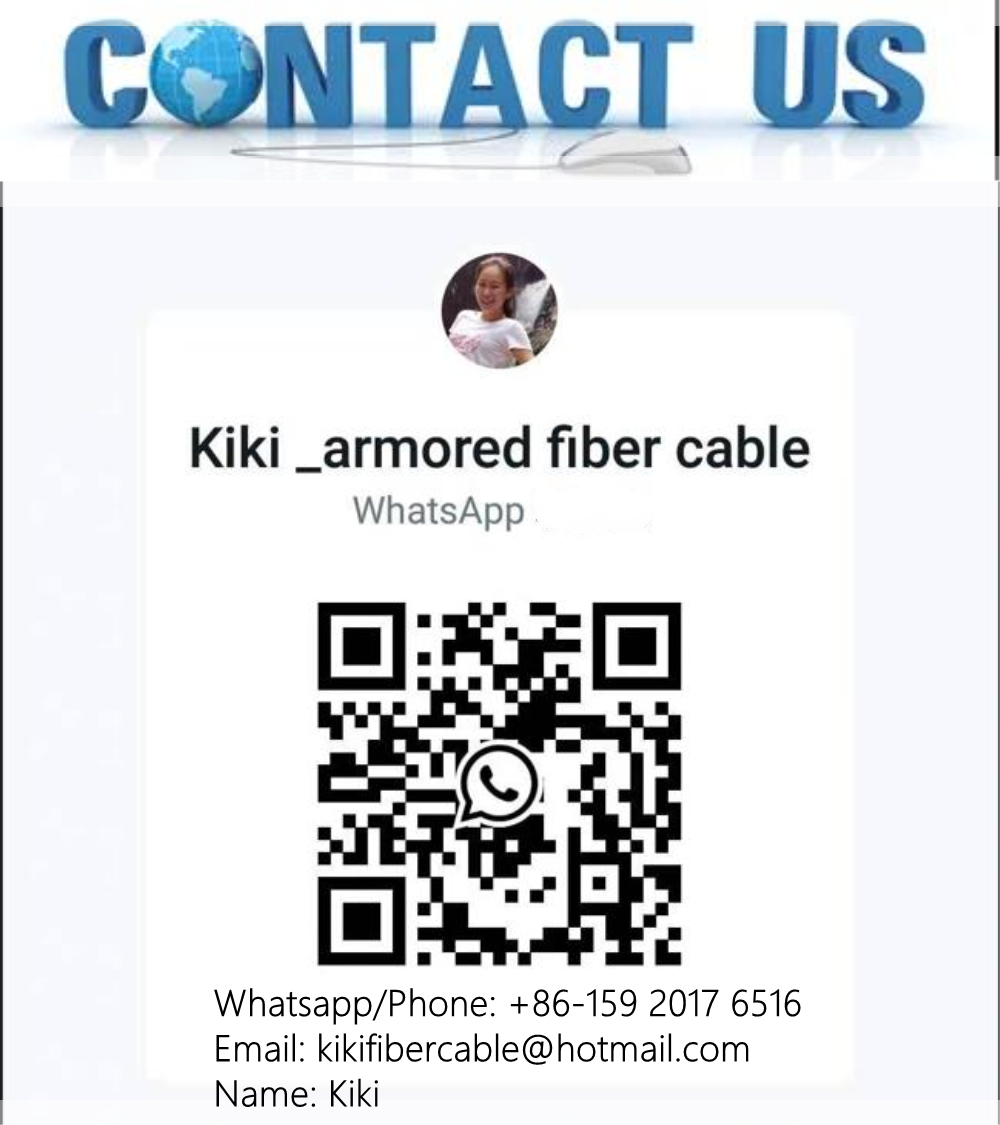 Stainless Steel OM3 OM4 Armored Fiber 6 Core G652D PVC LSZH