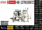 Engine Parts Diesel Fuel Injection Pump BH4QT95R9 For YANGDONG 4QTD689 / Y4105D