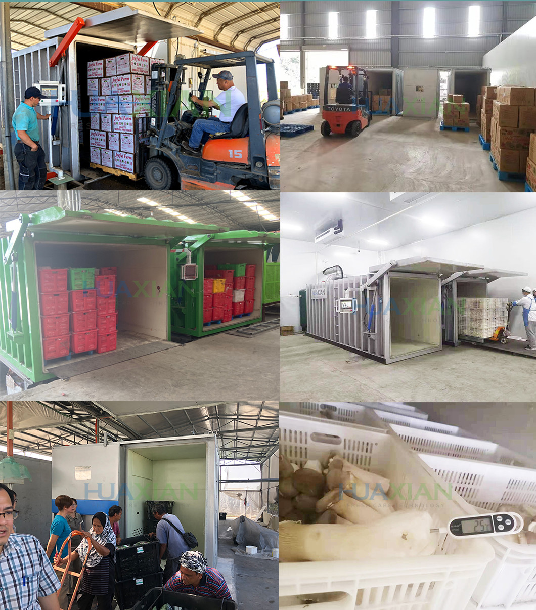 Automatic Leafy Lettuce Vacuum Cooler 1500kgs 3 Pallet Fast Cooling