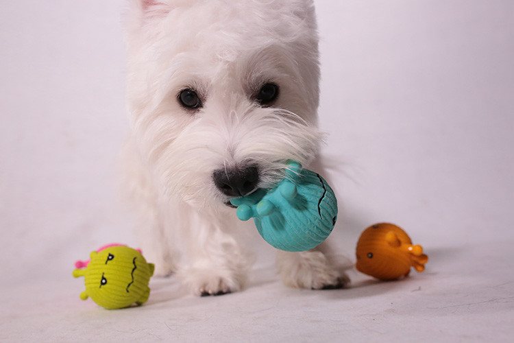 6cm Soft Latex Squeaky Dog Ball