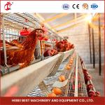 96 Birds Automatic Chicken Cage Equipment Battery Egg Layer Cage For Laying Hens