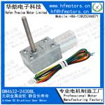 6V Self Locking 21RPM Brushless DC Worm Gear Motor Low Noise