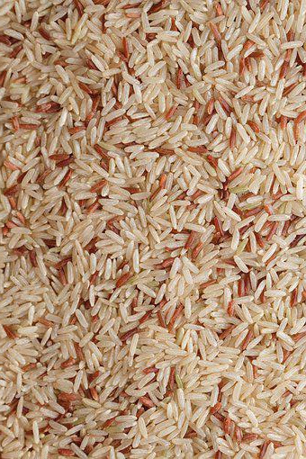 Wenyao 4 Chutes Factory Price Brown Rice Color Sorting Machine Rice Grading Machine