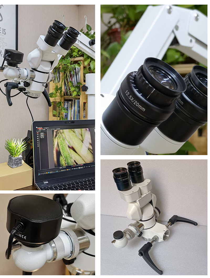 8x Eye Surgery Microscope A41.1903 50mm - 80mm Interpupillary Distance