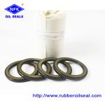 Vacuum Resistant Black Rubber Oil Seal For Industrial ISO 900000