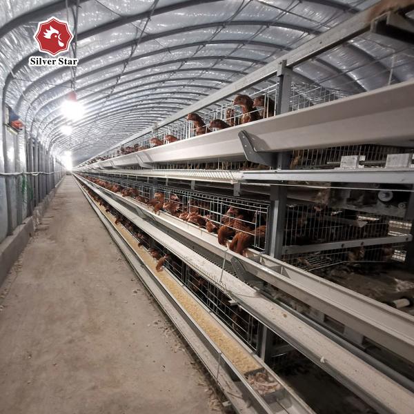 Buy cheap H Type Layer Chicken Cage Hot Dipped Galvanised Chicken Farm from wholesalers
