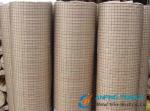 Electric Galvanized Welded Wire Mesh, Bright Color and Smooth Surface
