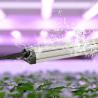 Buy cheap Samsung Beads Cucumber T8 Grow Light Tubes Waterproof 60w Led Grow Light from wholesalers