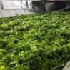 Buy cheap Pure Sea Vegetable Flavorful NORI Aonori Powdered Seaweed Dried For Japanese Cuisine 10kg Pack from wholesalers