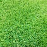 Cheap Priced Artificial Grass Granules SBR Indoor Outdoor Sports Football Field