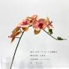 Buy cheap Long Lasting Colorful Artificial Flower Branch Phalaenopsis Aphrodite 83 Cm from wholesalers