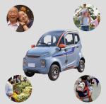 Closed 100km Driving Electric City Car With 4000W Motor