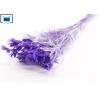 Buy cheap Artificial flowers and flower arrangements dry flowers gift from wholesalers