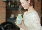 Air Freshener Quiet Cool Mist Humidifier 320ml Bottle Anti - Dry Burnt Design