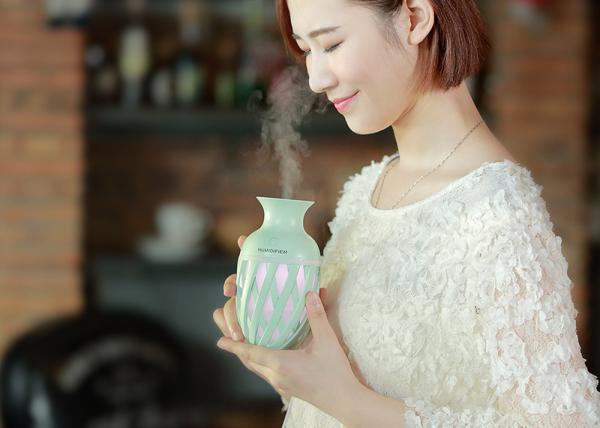 Quality EW-E520 Vase USB Humidifier Personal Ultrasonic Air Cool Mist Home Application for sale