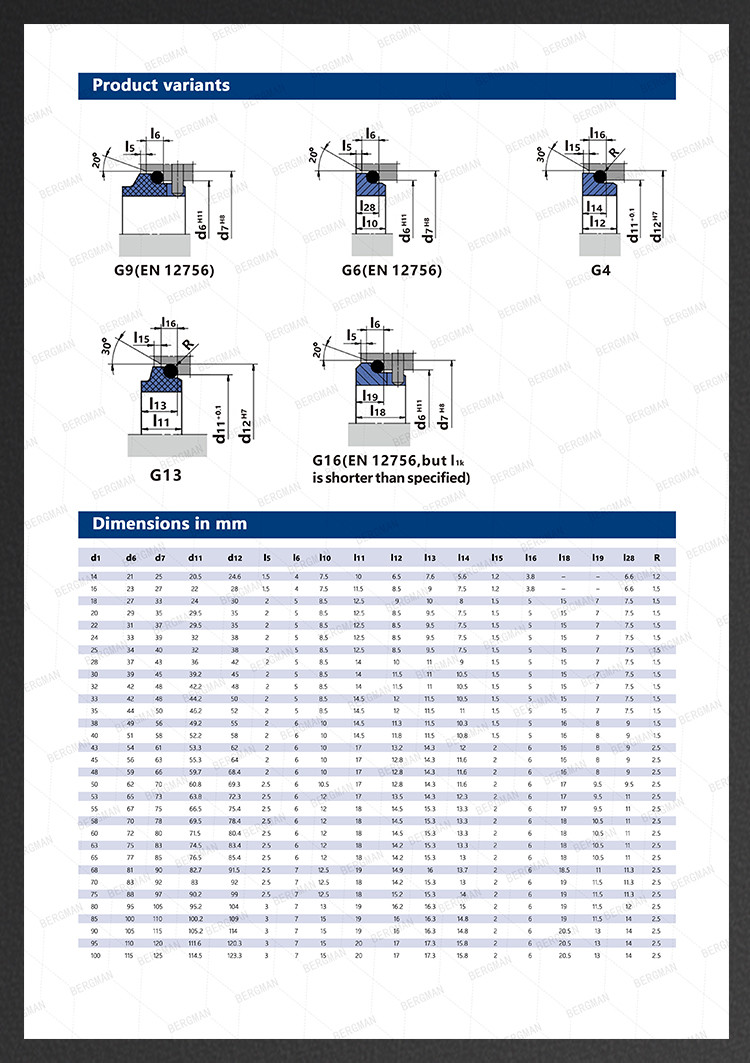 H7N H74 25mm-100mm G60 G4 G6 G9 G13 G16 BS Bo BP Pump Mechanical Seal
