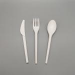 Heatproof Biodegradable Eco-friendly Customizable Disposable PLA Knife Fork And