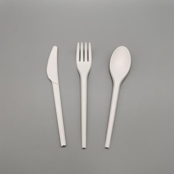 Heatproof Biodegradable Eco-friendly Customizable Disposable PLA Knife Fork And
