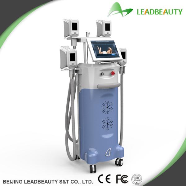 Buy cheap Newest professtional stubborn fat loss mahcine Cryolipolysis from wholesalers