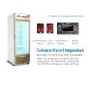 Buy cheap 800L Glass Double Door Upright Display Freezer from wholesalers