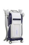 Fat Removal Cryolipolysis Fat Freeze Slimming Machine EMS Cryo Body Sculpting