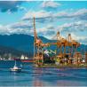 Buy cheap International FCL LCL From China To South America Sea Freight Forwarder from wholesalers