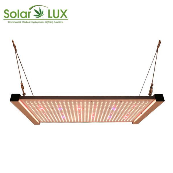 Buy cheap Full Spectrum Osram 730nm 2x2 Led Grow Light from wholesalers