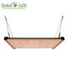 Buy cheap Samsung LM301H 240watt Horticulture Quantum Led Grow Light from wholesalers