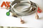 AHA BI ECG Cable 10 Lead Snap Holter H2111 Biomedical Instruments