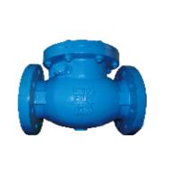 Buy cheap BS 5153 Standard Flanged Swing Check Valve Blue PN16 Cast Iron product