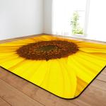 Rose Flower Living Room Floor Carpets Commercial Restaurant Carpet 80*120cm